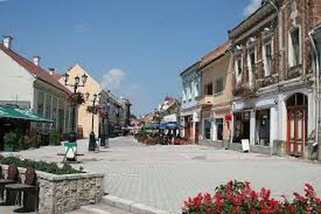 Betty Panzio Hotel Miercurea Ciuc Exterior photo